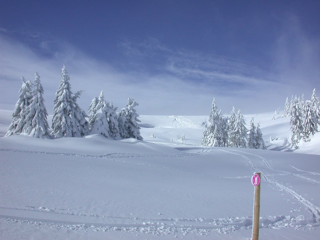 Schneeschuhtour am Schauinsland