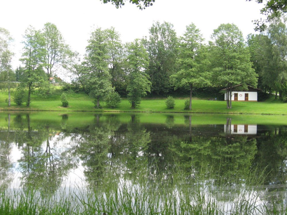 In ruhiger Lage befindet sich der Naturbadeweiher in Haslach bei Hohenau