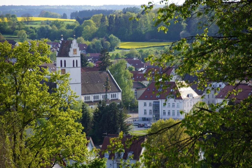 Blick durch grüne Bäume auf die Ostracher Pfarrkirche