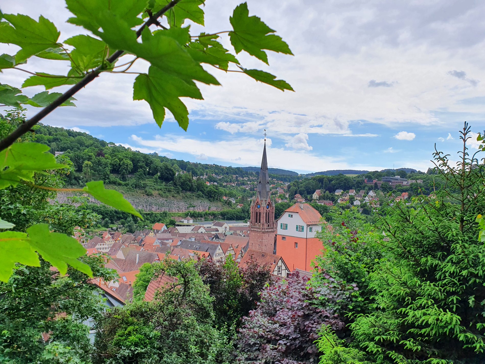 Blick von einem Höhenweg auf Calw mit Stadtkirche und dem Langen