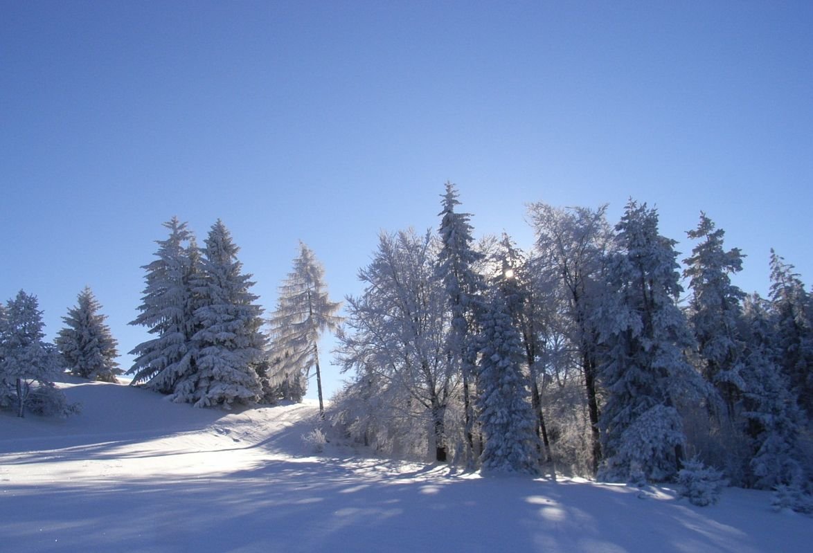 Idyllische Winterlandschaft rund um die Degerfeld-Loipe in Albstadt