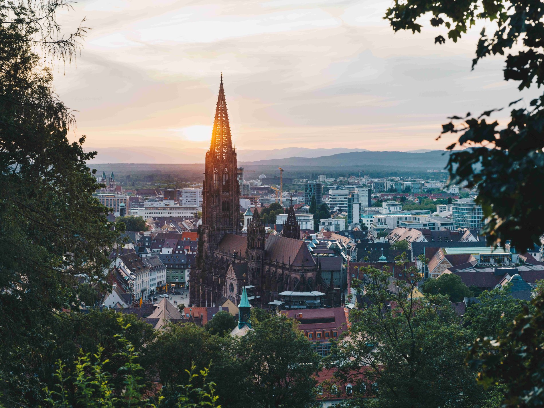 Sonnenuntergang über dem Freiburger Münster