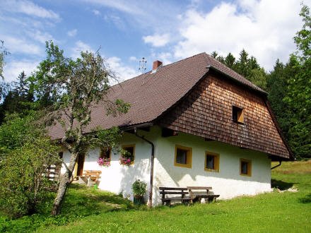Waldvereinshütte "Nest" im Sommer