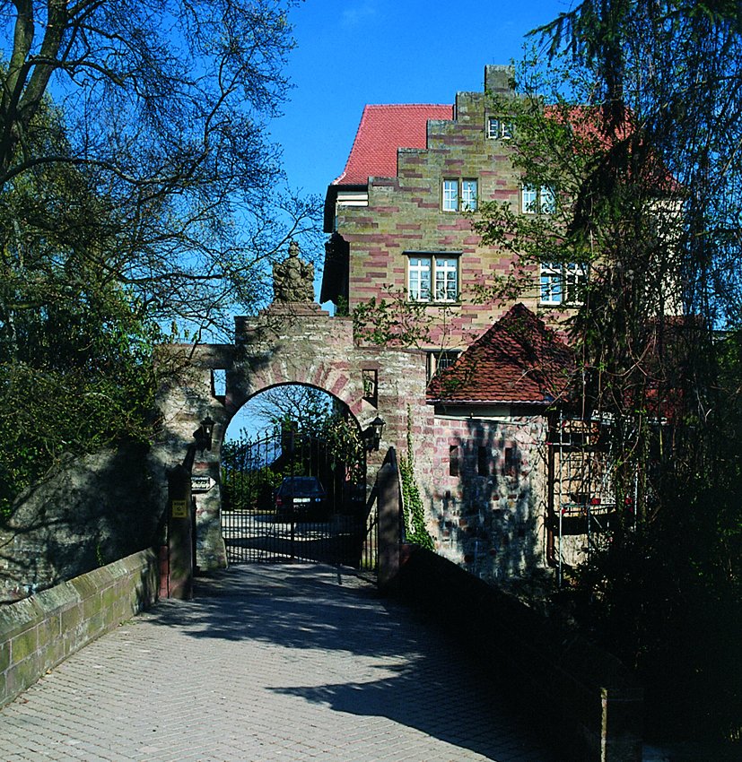 Schloss Neuburg bei Obrigheim