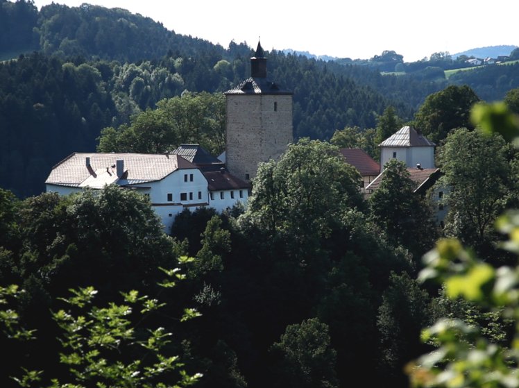 Blick auf Schloss Fürsteneck im Ilztal