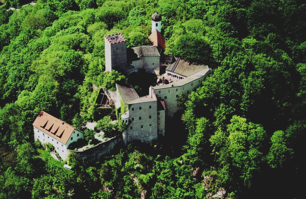 Blick auf Burg Falkenstein im Naturpark Oberer Bayerischer Wald