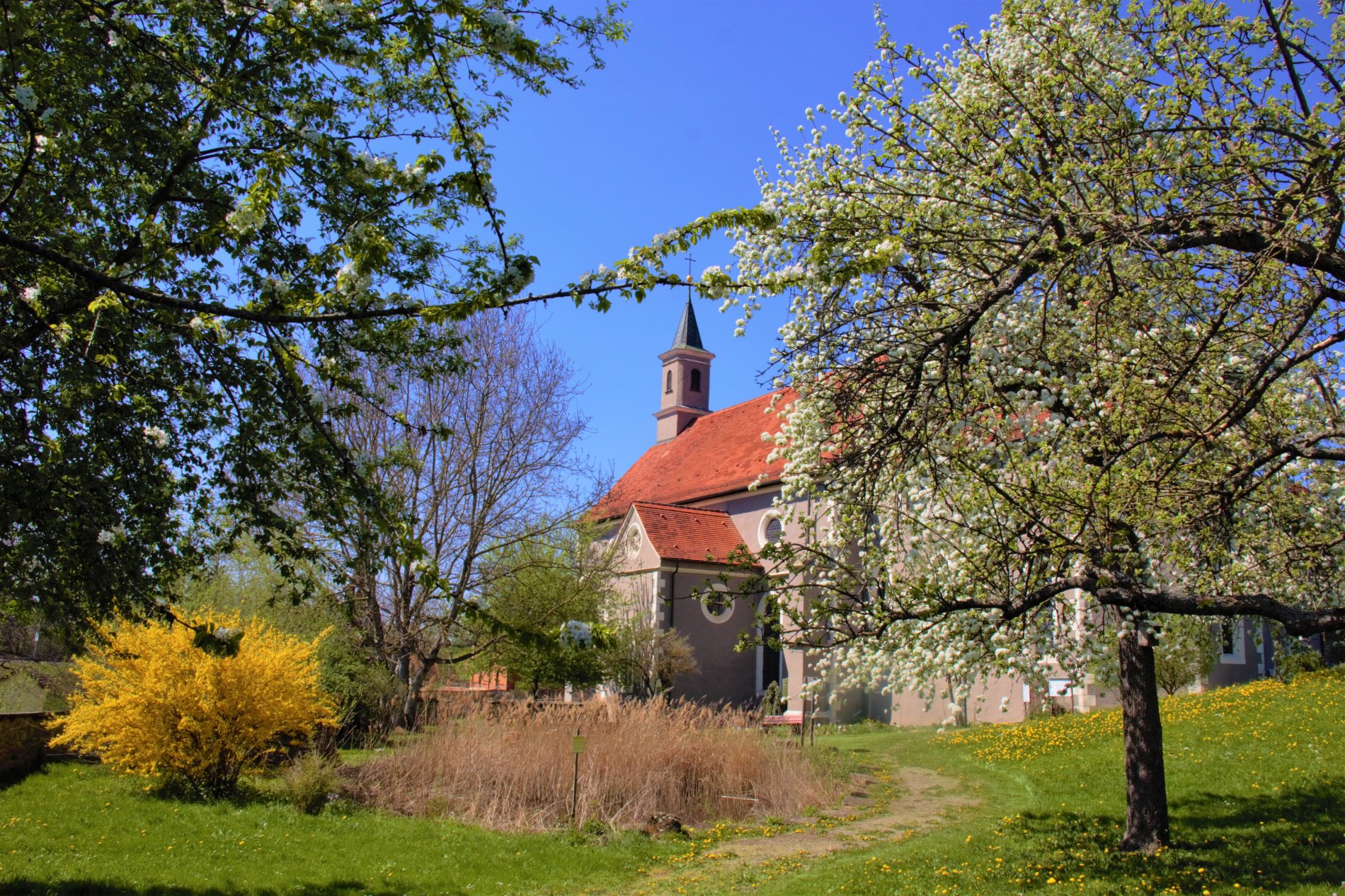 Blick auf St. Luzen vom Klostergarten aus