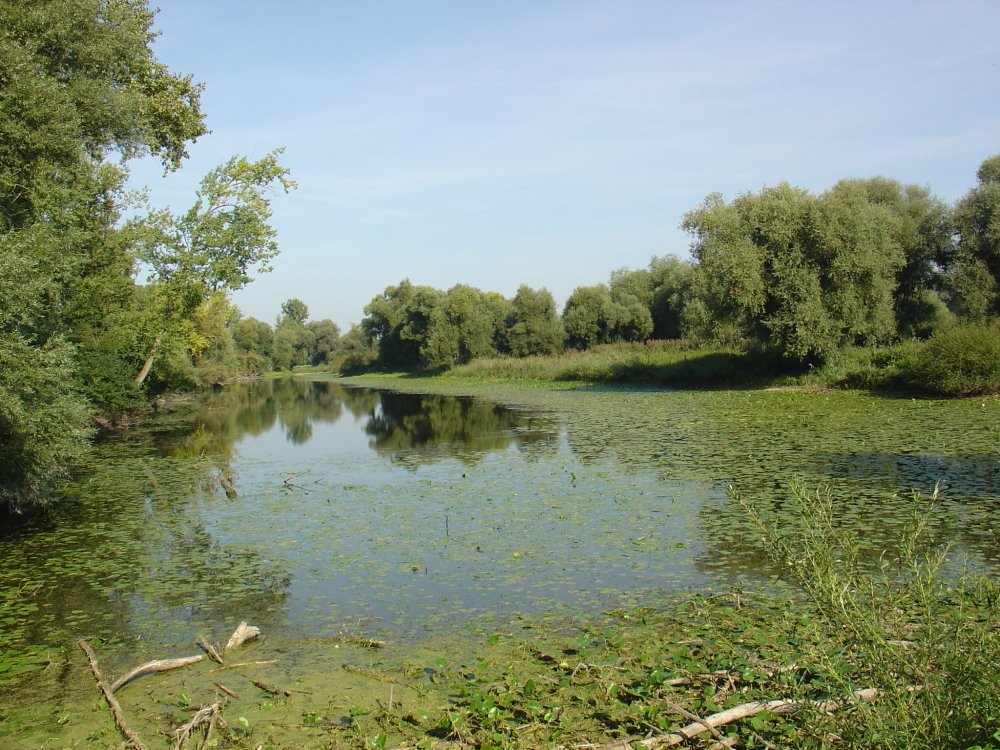 Naturschutzgebiet Donaualtwasser Staatshaufen im Gebiet der Gemeinde Niederalteich