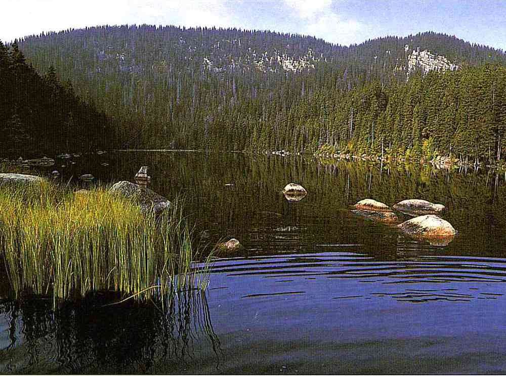 Blick auf den Plešné jezero (deutsch: Plöckensteinsee) im Böhmerwald