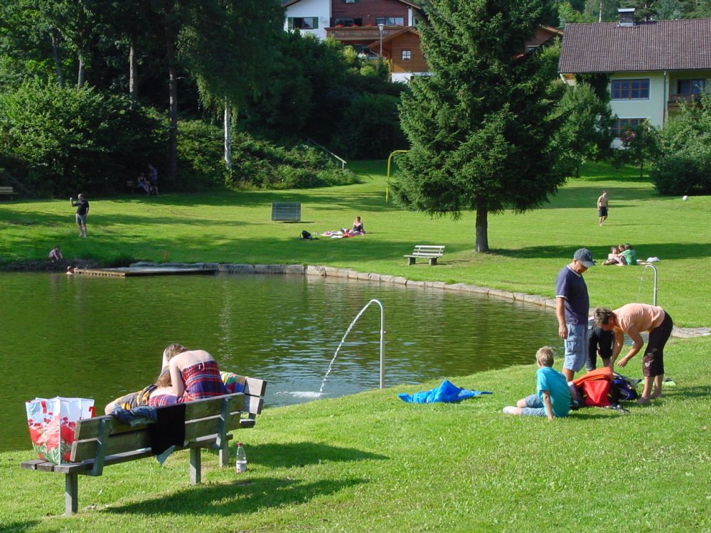 Badespaß im Naturbad Huberweiher in Lohberg am Fuße des Großen Arber