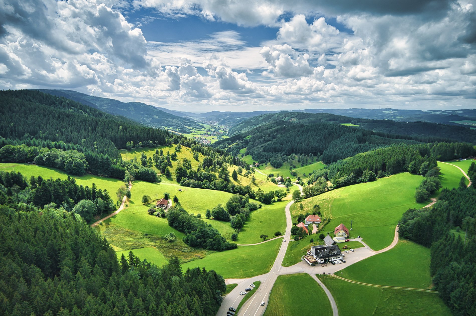 Sonnige Schwarzwaldlandschaft mit saftigen Wiesen und dunkelgrünem Wald