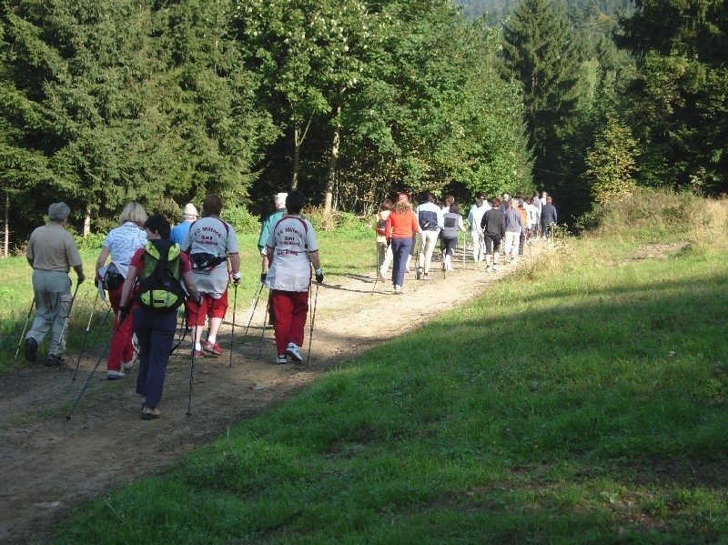 Nordic Walking bei Drachselsried im Zellertal Bayerischer Wald