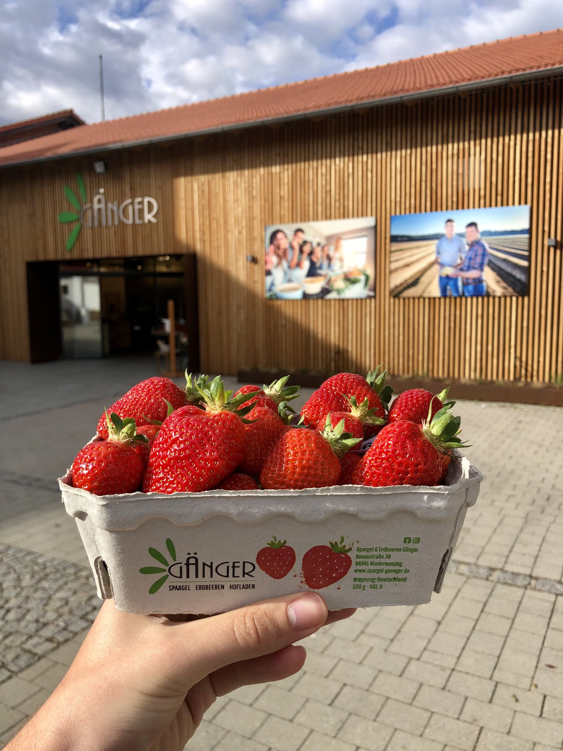Erdbeeren vom Hofladen