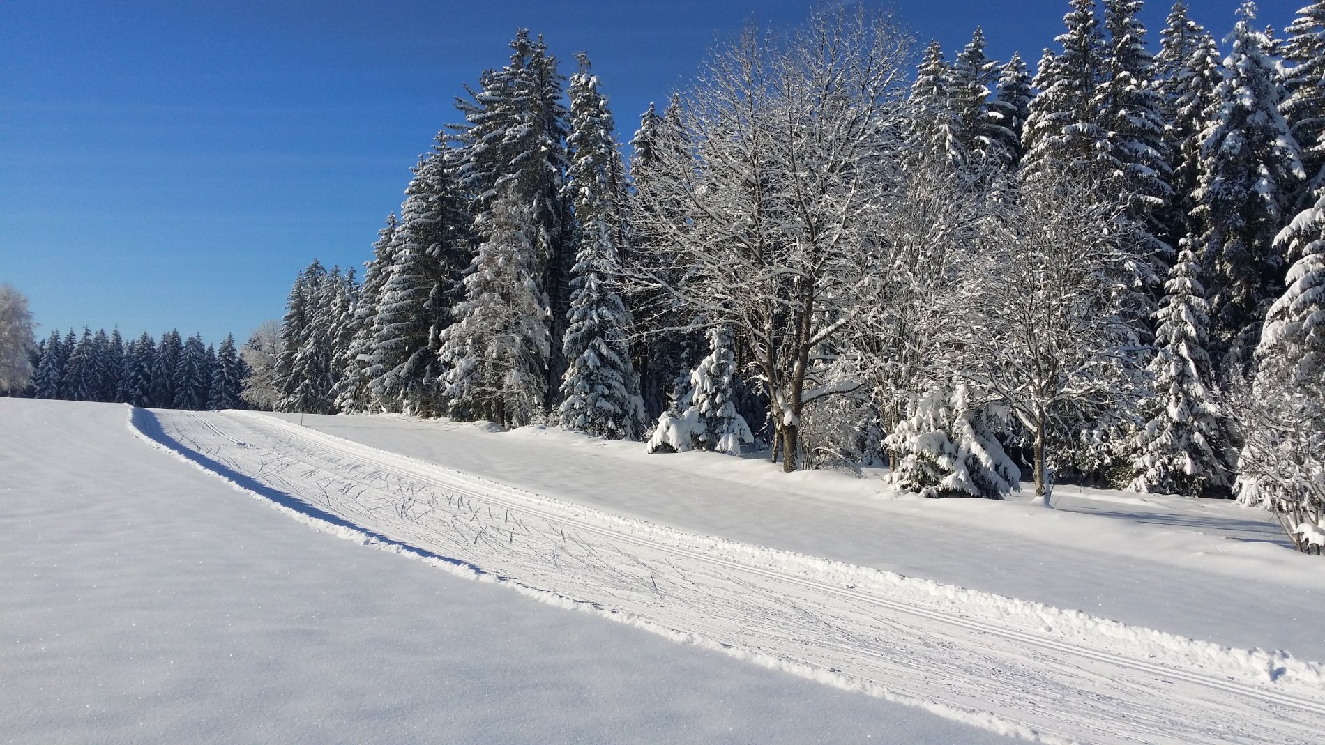 Skilanglauf in Schramberg