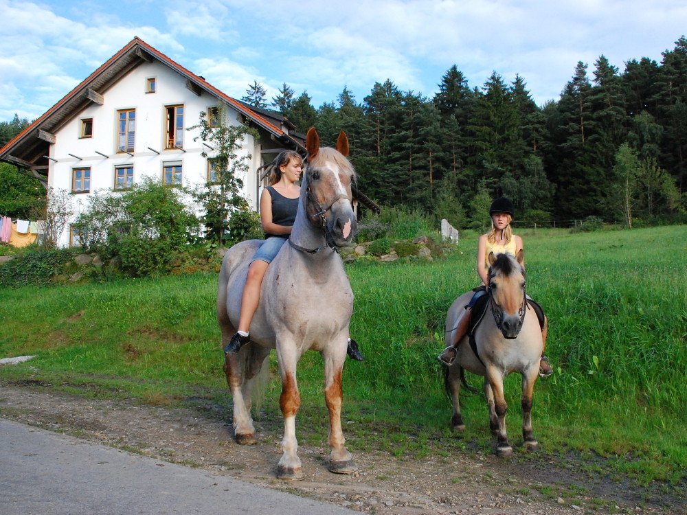 Pferdeausritt beim Balsnhof Sponfeldner in Chamerau im Naturpark Oberer Bayerischer Wald