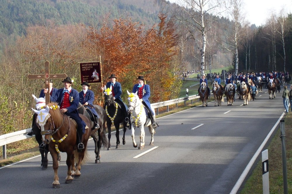 Reiter auf festlich geschmückten Pferden beim Martiniritt in Miltach (Urheber: Erwin Vogl)