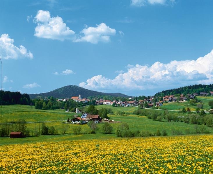 Bischofsmais liegt in einer ausgedehnten grünen Landschaft, zwischen Tausendern, ursprünglichen Wäldern und munter dahin plätschernden Bächen - kurz: mitten im Bayerischen Wald.
