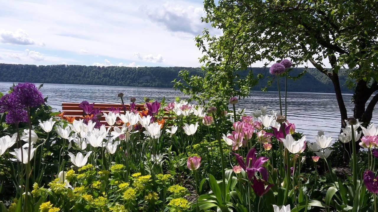 Blumenrabatte im Uferbereich Sipplingen mit Blick auf den Bodensee