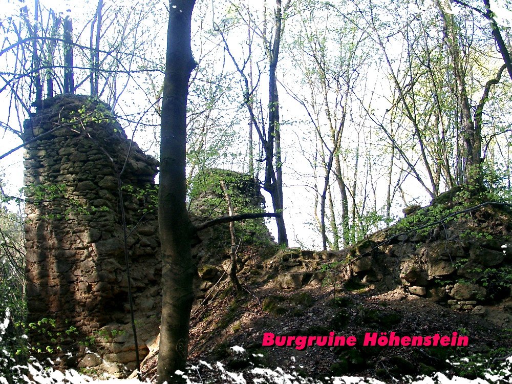 Mauerreste der Burgruine Höhenstein bei Stallwang im Vorderen Bayerischen Wald