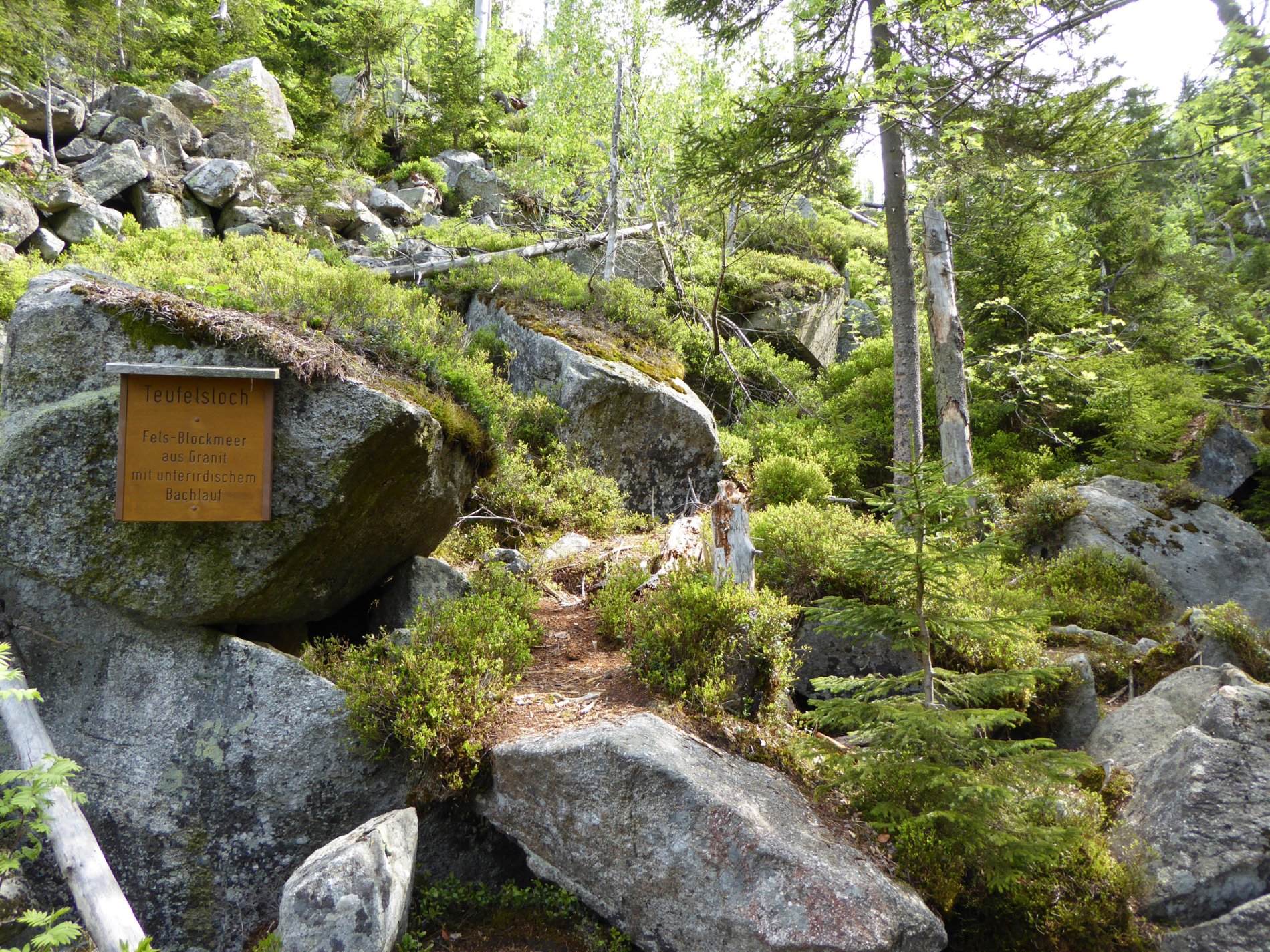 Das Teufelsloch im Nationalpark Bayerischer Wald