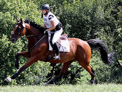 Ausbildung für Pferde und Reiter bei Mangelkramer