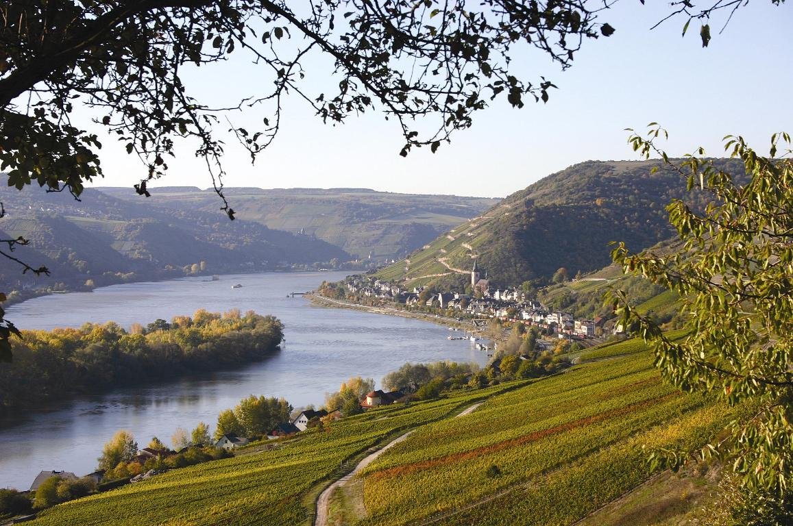 Rheingau bei Lorch am Rhein