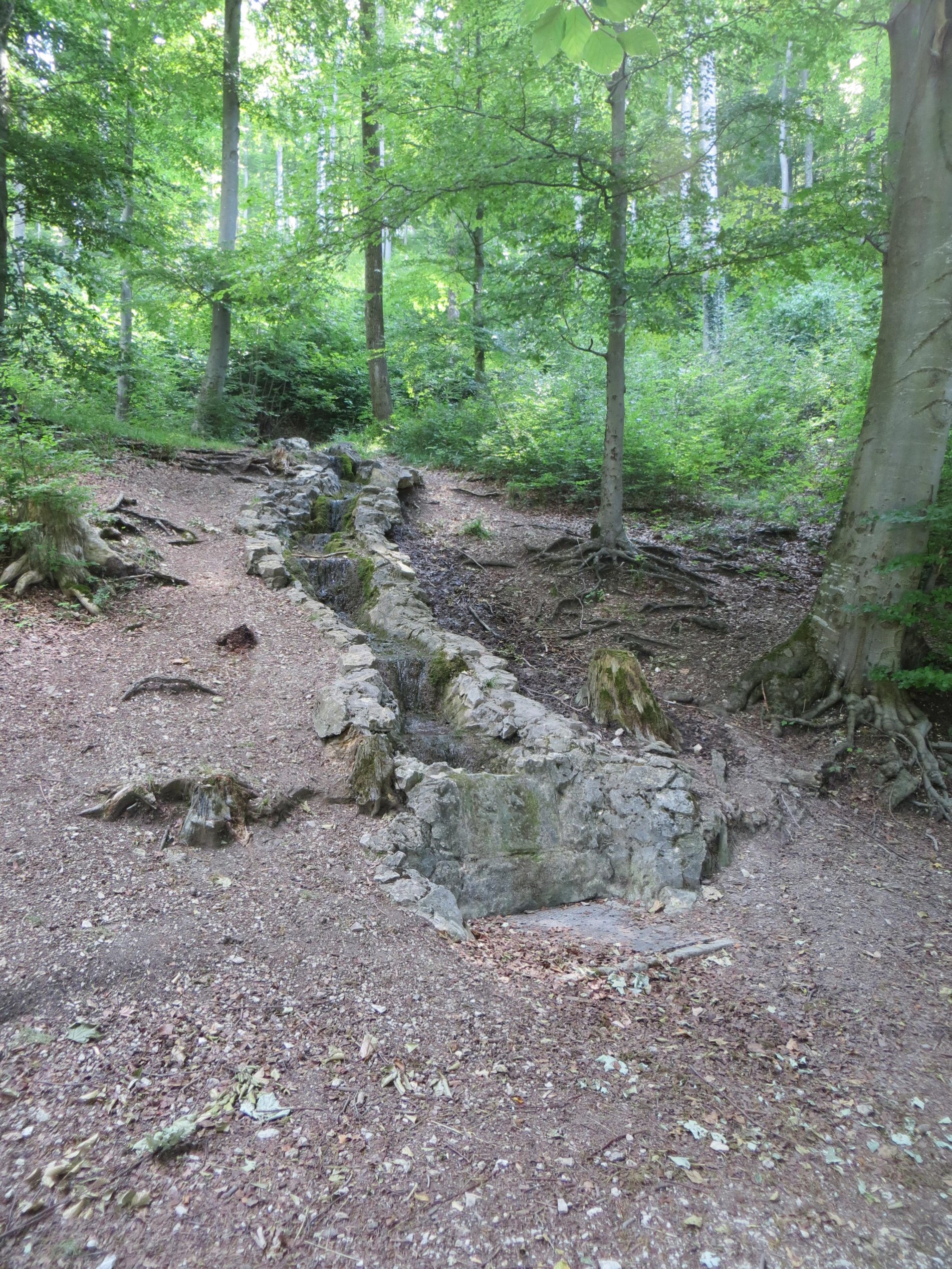 Ausflugsziele in Albstadt: Jausenteich-Quelle in Albsatdt-Ebingen