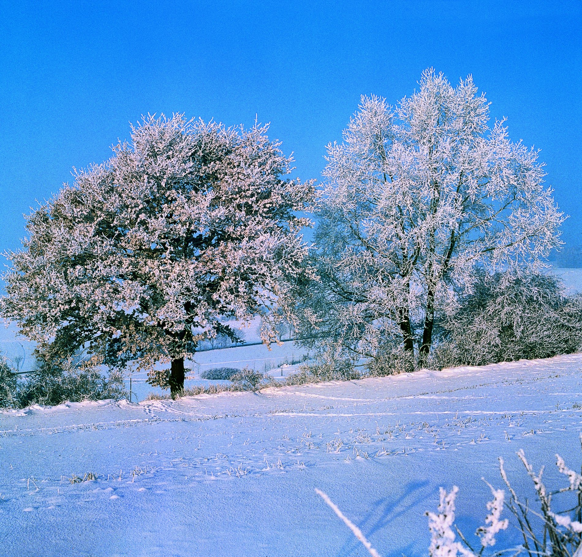 Winter in Ostbayern