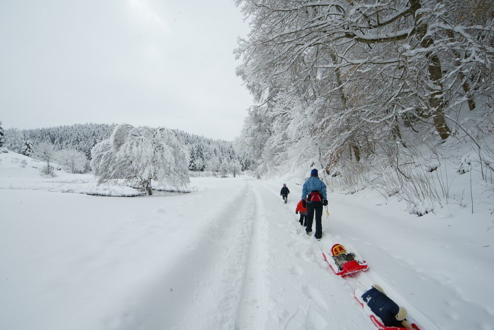 Ein Erwachsener zieht zwei Bobschlitten durch den Schnee hinter sich her. Vor der Person laufen zwei Kinder. Rechts von ihnen ist Wald, links verläuft ein Fluss. Im Hintergrund ist ein Tannenwald. Der Himmel ist grau.