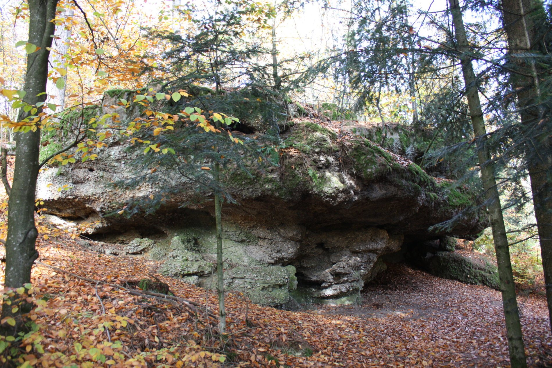 Der mächtige Hohle Stein im Bad Griesbacher Steinkart