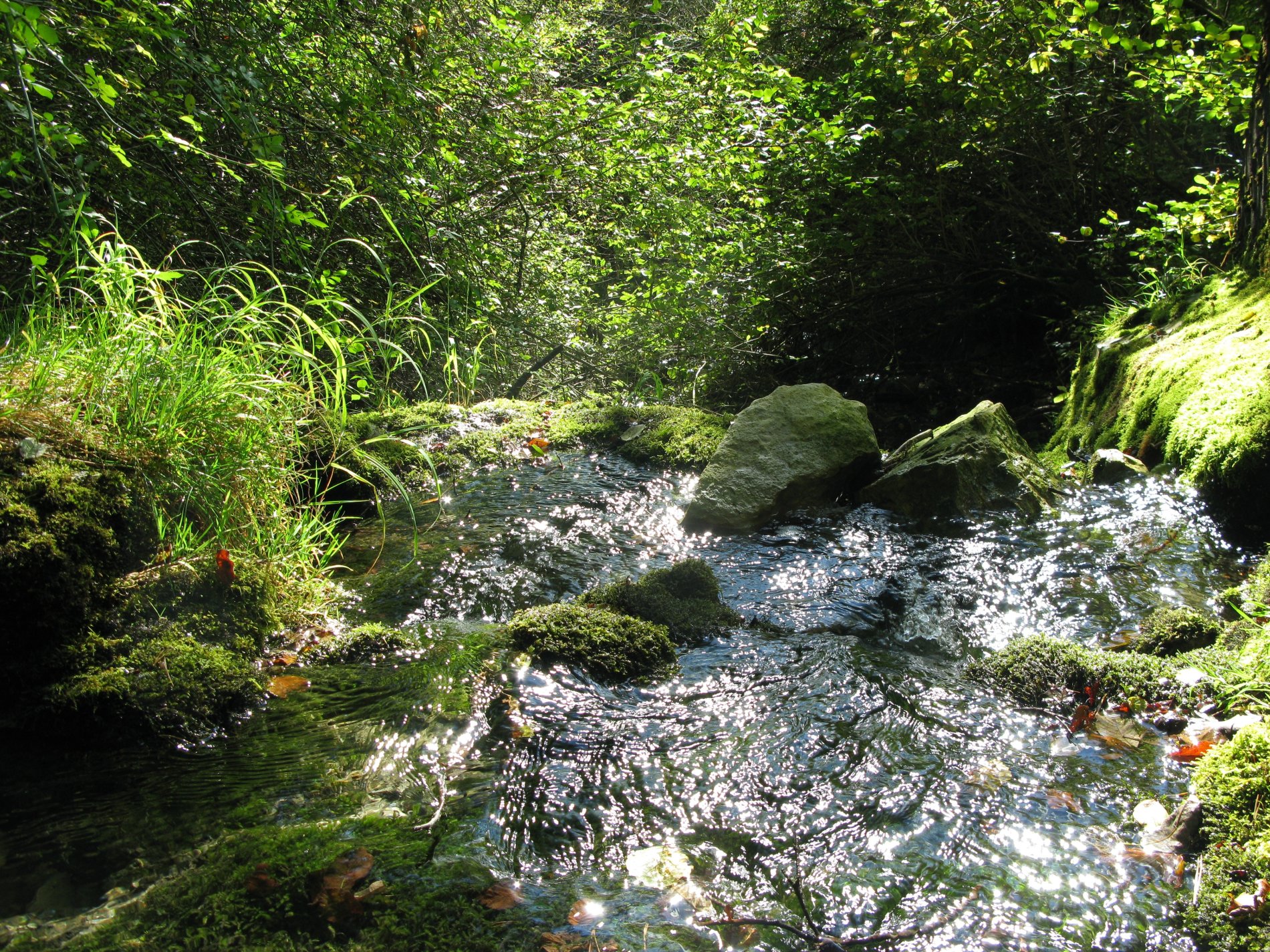 Glitzerndes Wasser an der Lochbrunnenquelle