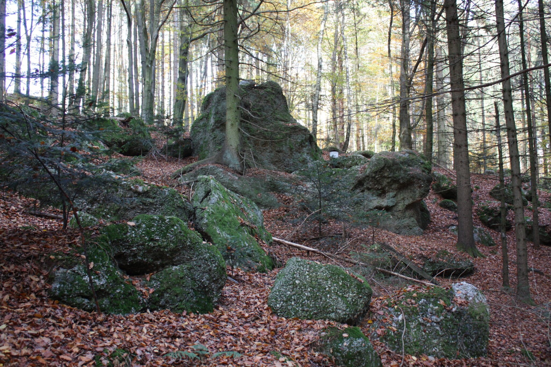 Die gewaltigen Felsen der Luisenburg im Steinkart