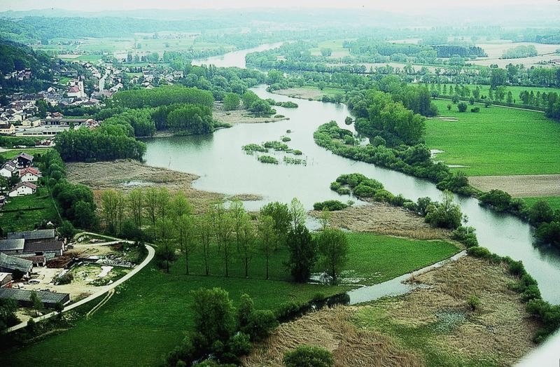 Blick auf das NSG Donaualtwasser Winzerer Letten im Donautal