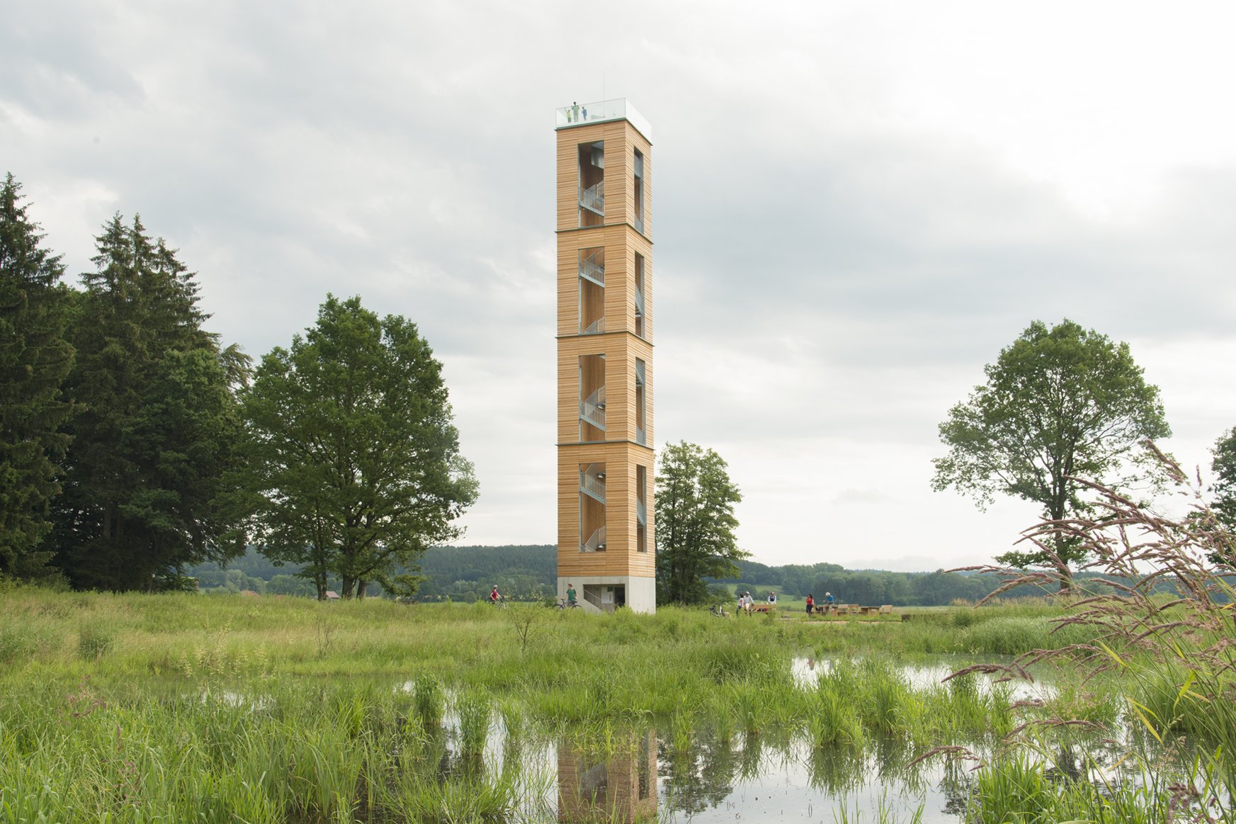 Der Bannwaldturm, eingebettet in die winterliche Riedlandschaft.