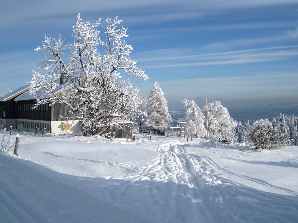 Schneeschuhwandern zum Landshuter Haus auf der Oberbreitenau im Bayerischen Wald