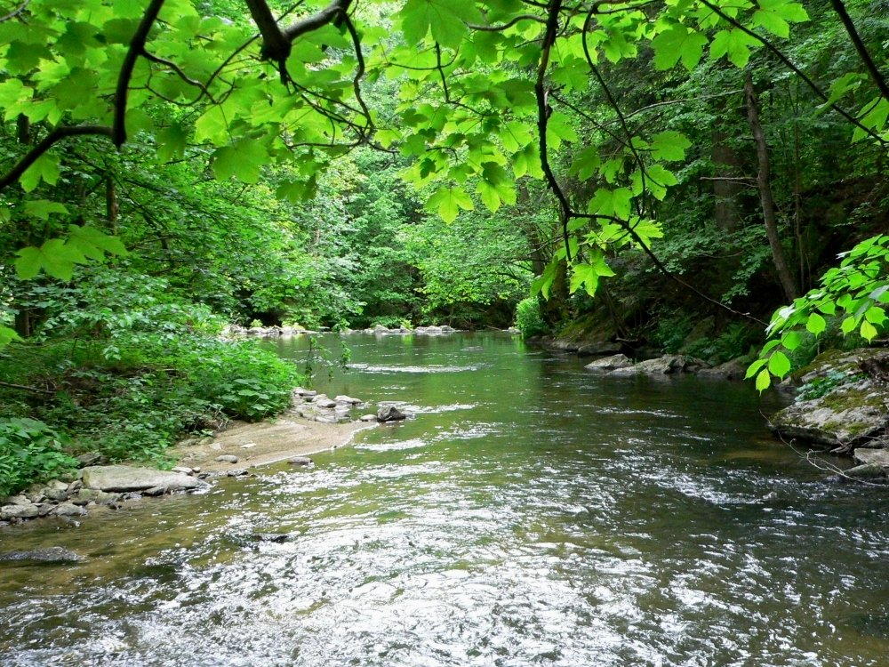 Der Osterbach fließt durch das Wildwassertal Bärnloch im Wegscheider Land