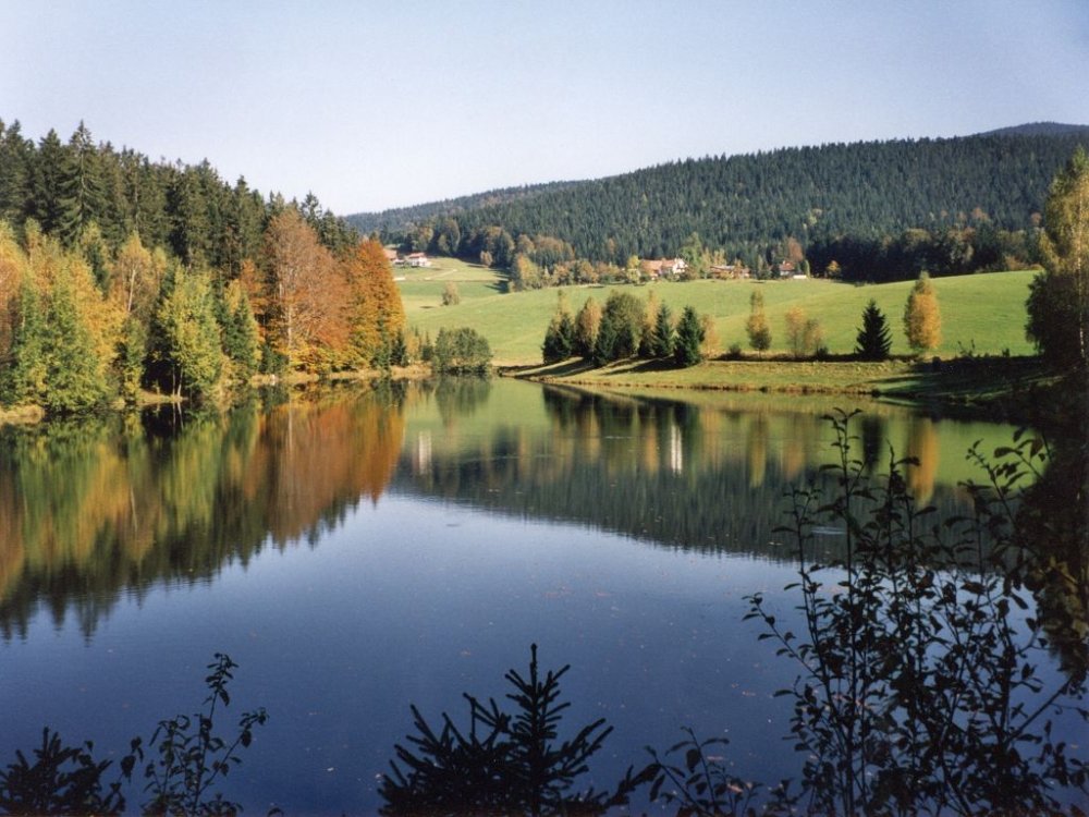 Angeln am Stausee Riedelsbach bei Neureichenau im Dreiländereck Bayerischer Wald