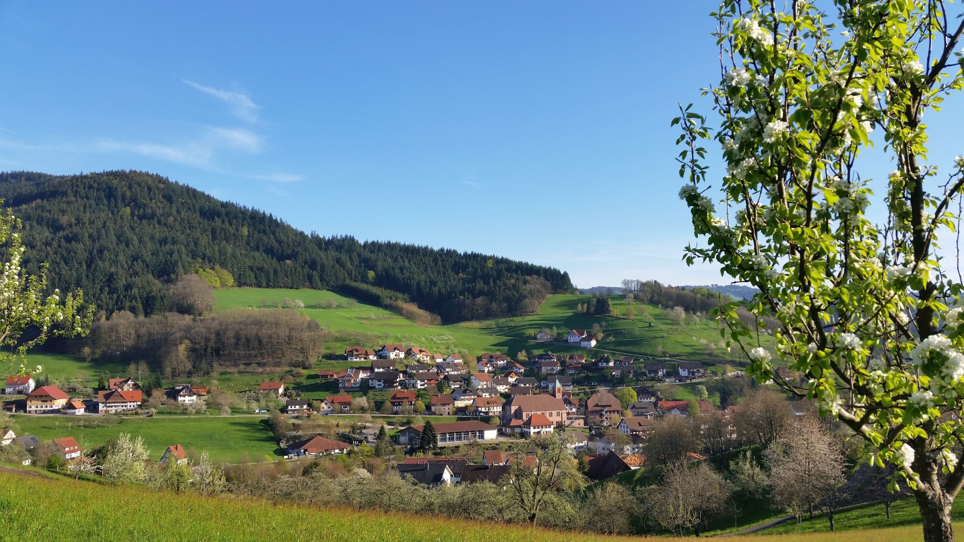 Blick auf das Ortszentrum Seebach