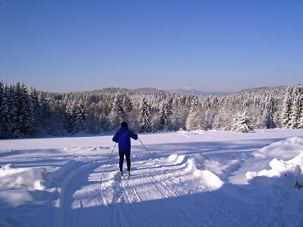 Langlaufzentrum mit Skihütte in Rinchnach