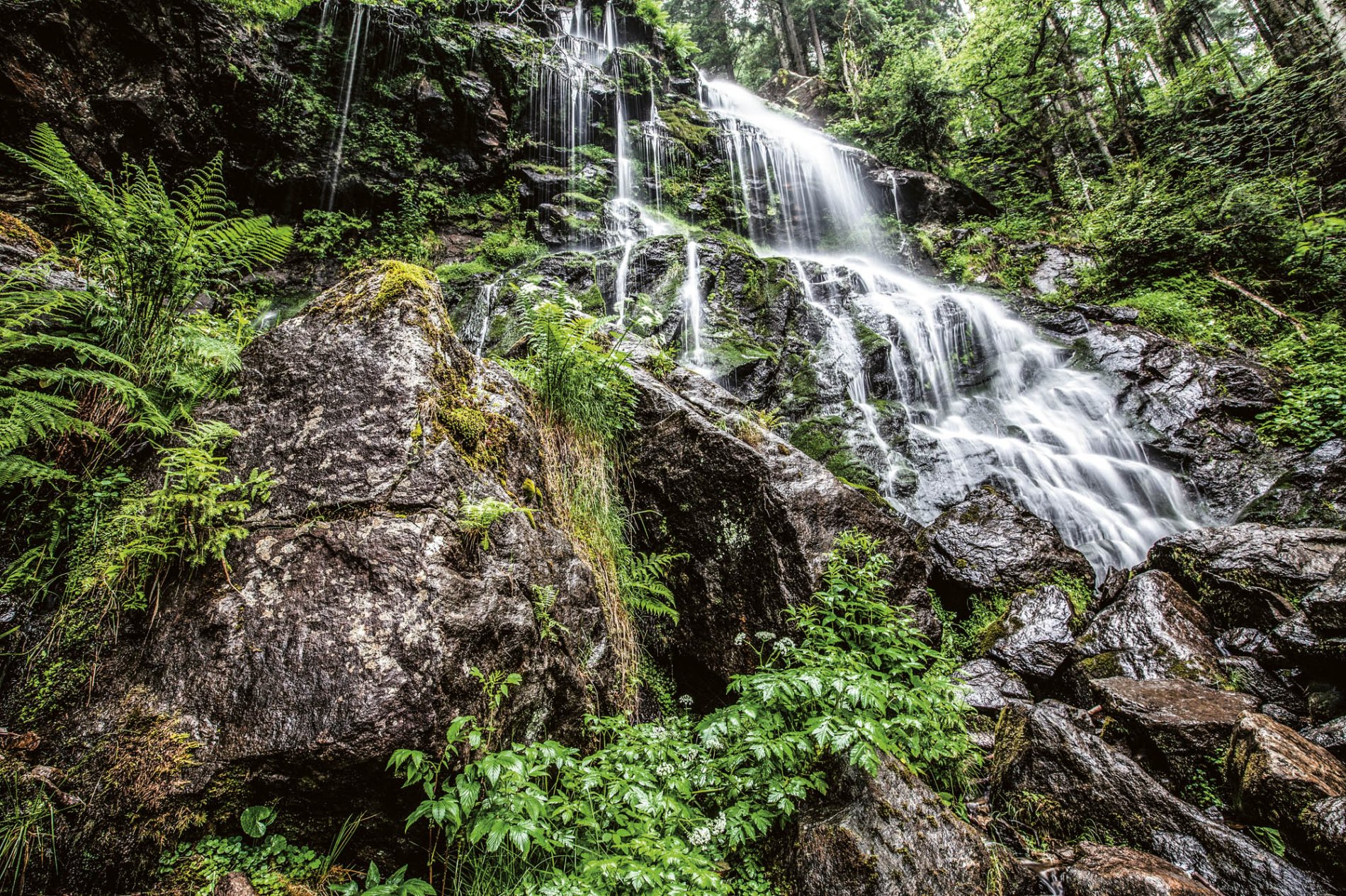 Sprühender Wasserfall umgeben von grünem Wald