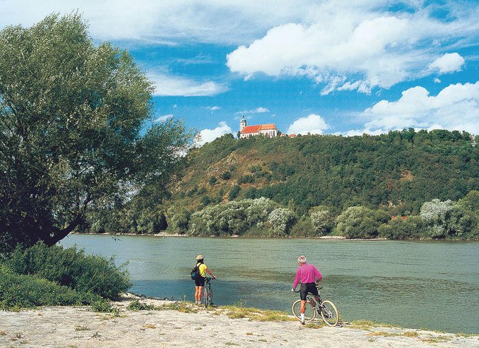 Radler mit Blick auf den Bogenberg am Donau-Regen-Radweg