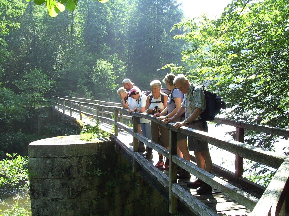 Wanderer auf einer Brücke über die Ilz bei einer Tour mit WaldZeit
