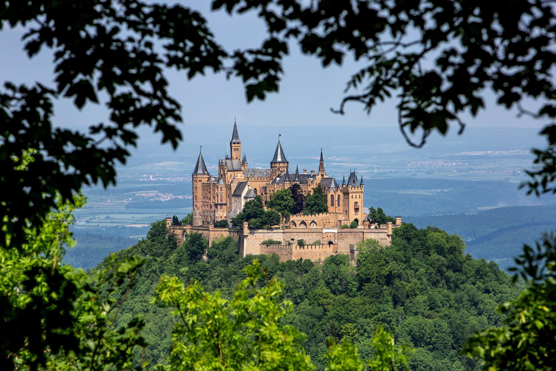 Burg Hohenzollern im Baumfenster