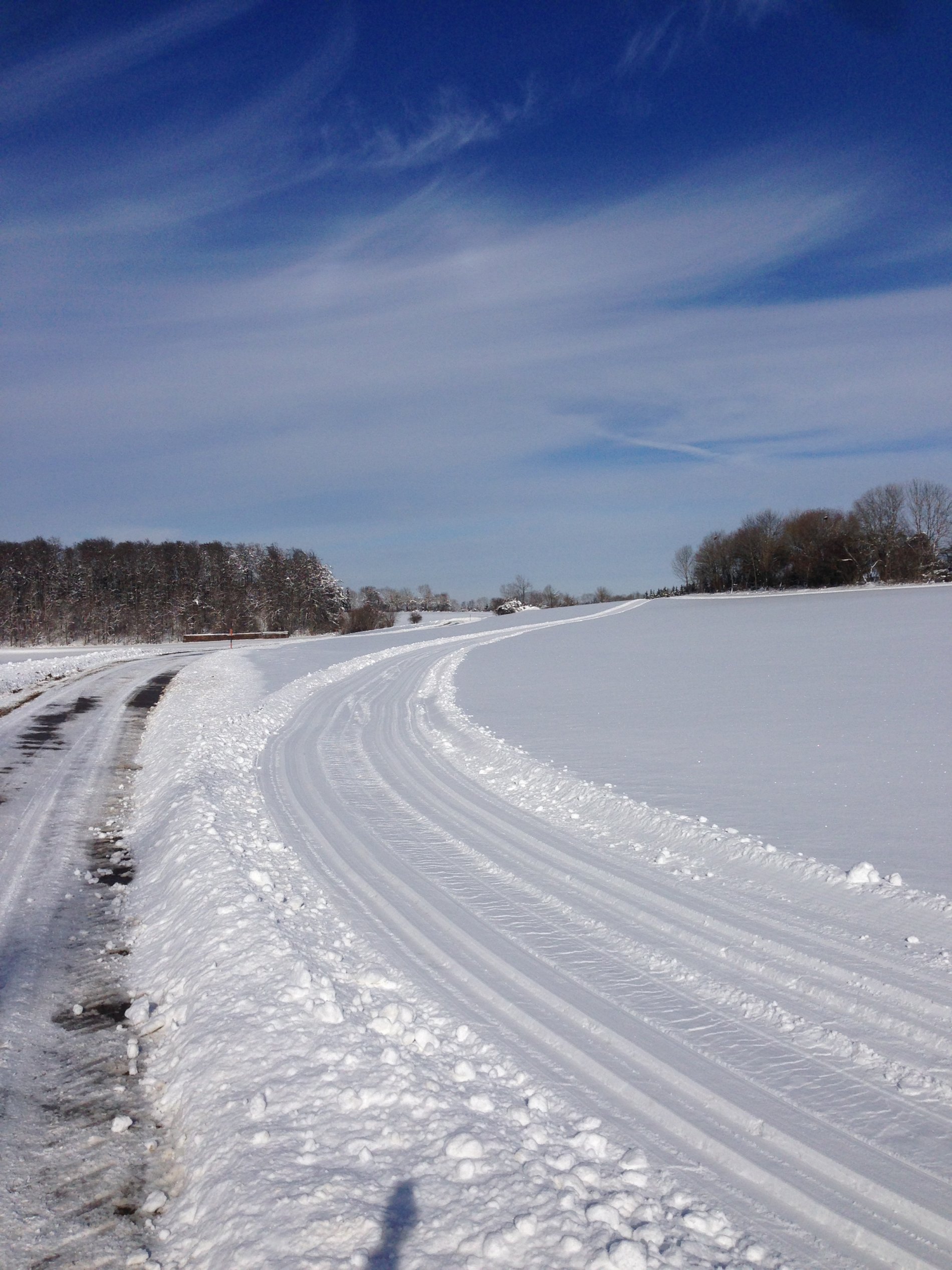 Eine zweispurige klassische Loipe verläuft neben einem geräumten Weg durch eine schneebedeckte Landschaft. Weiter hinten sind Waldstücke. Der Himmel ist blau.