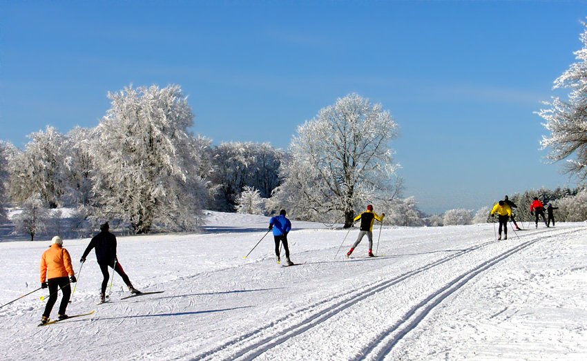 Loipen in Albstadt: Ski-Langläufer auf der Ebinger-Loipe in Albstadt