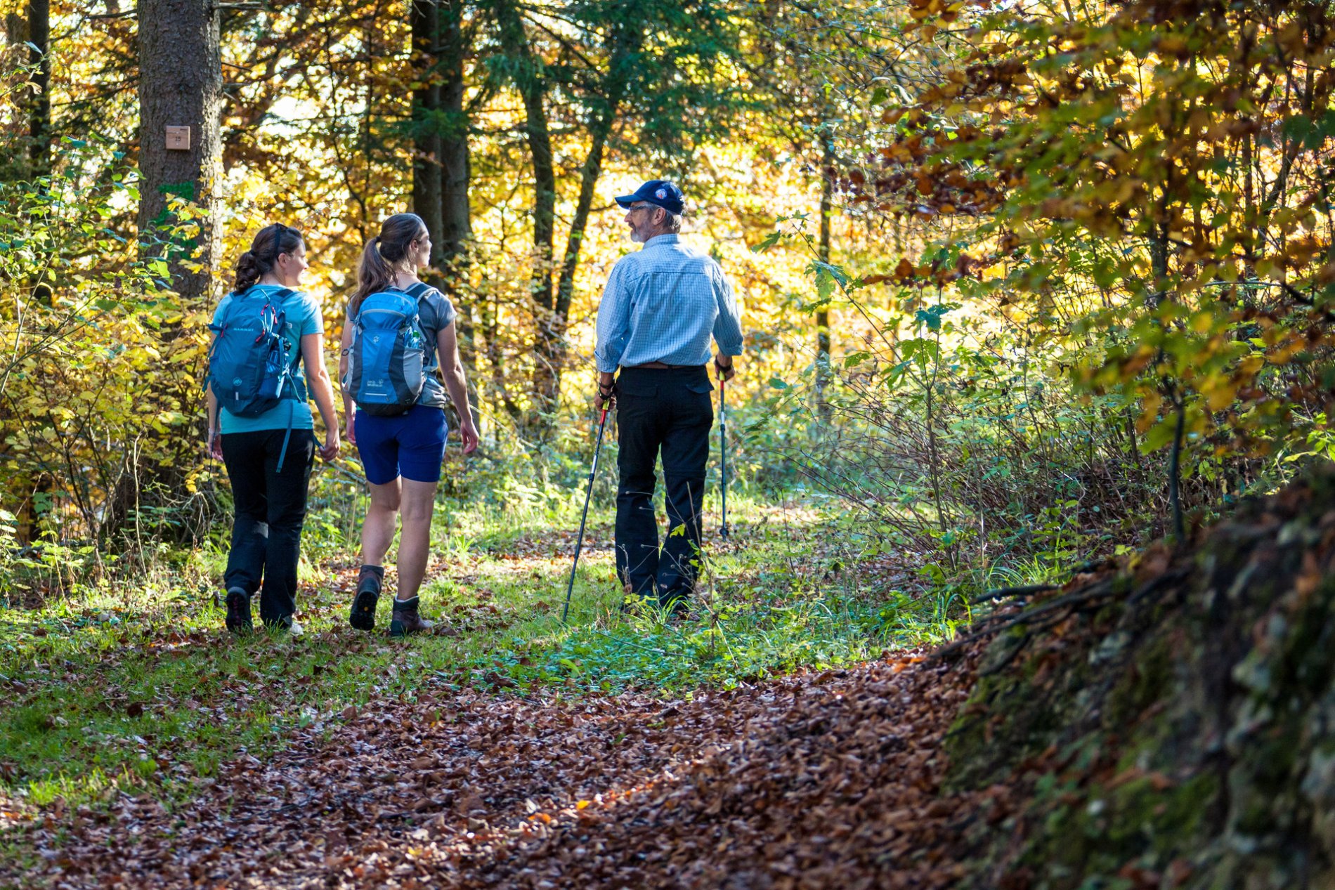 Wandertour Galgenberg Runde in Münsingen im Biosphärengebiet Schwäbische Alb. Drei Wanderer*innen laufen auf einem unbefestigten Weg durch den Herbstwald und unterhalten sich. Eine*r hat Stöcke dabei und trägt eine Mütze.