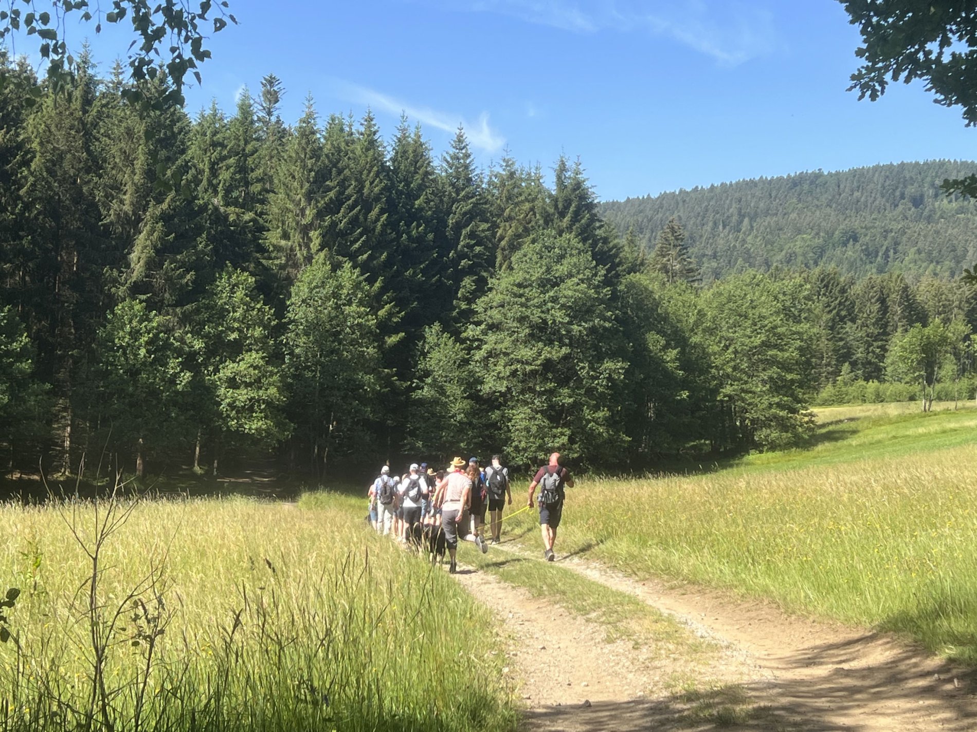 Wanderer auf einem Weg Rund um den Geisskopf bei Bischofsmais im Bayerischen Wald