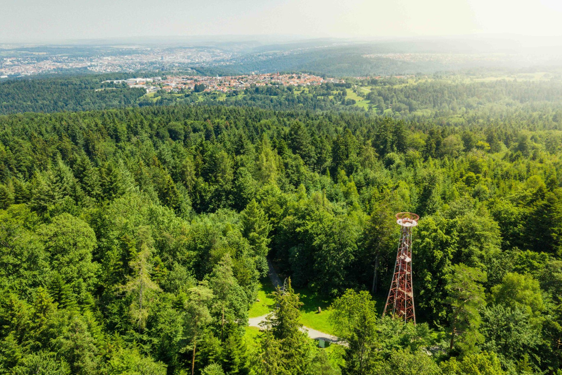 Luftansicht des Aussichtsturms welcher umgeben von Wald ist