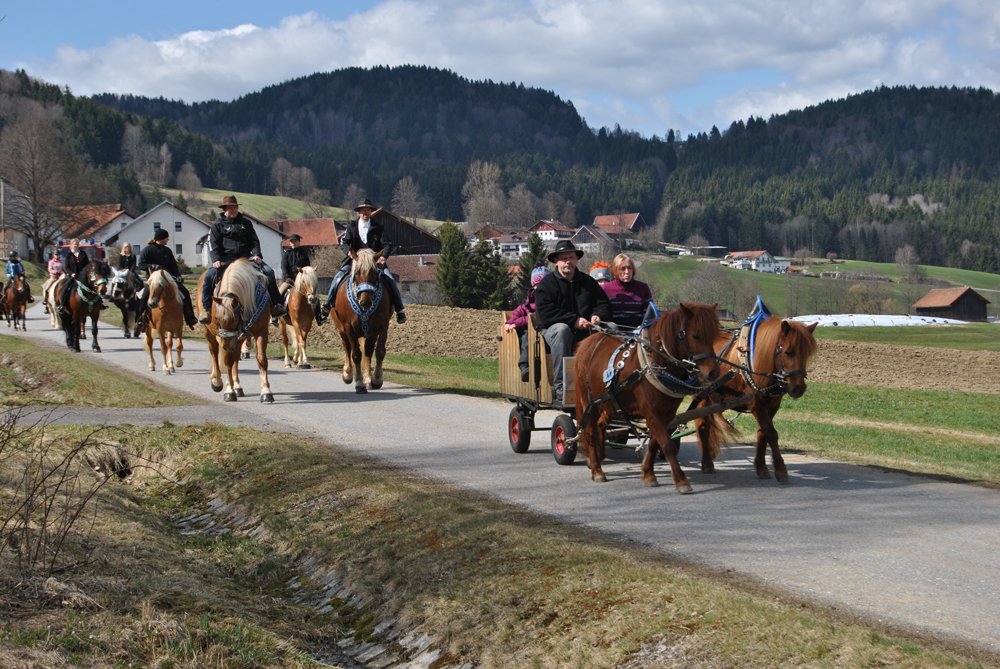 Die jährlich stattfindende Reiterprozession am Palmsonntag in Schönberg