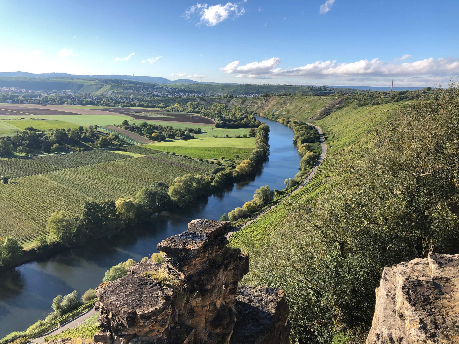 Hessigheimer Felsengärten: Blick auf den Neckar